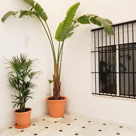 La Lola Y Ole